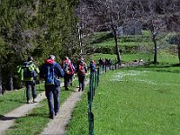 DSC 1704 - VERSO L'EREMO DI CAPRAIA